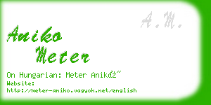 aniko meter business card